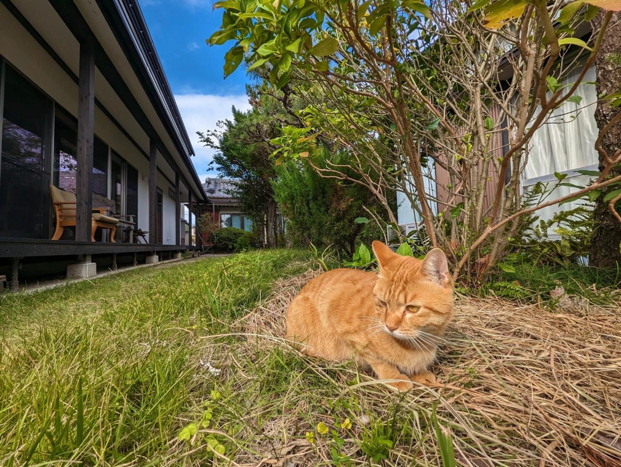 Guest House Ki-Zu - Vacation Stay 94978V Nishio 外观 照片